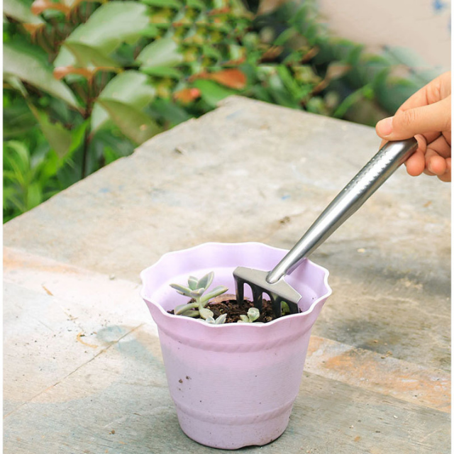 3-stuk vlekvrye staal mini tuinmaak-handgereedskap Skoffelharktroffel vir vetplante binnenshuise plante (ESG12034)